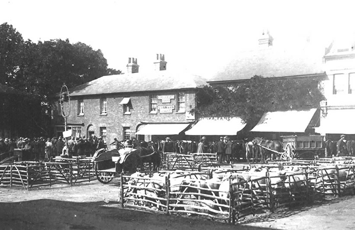 Rochford Market